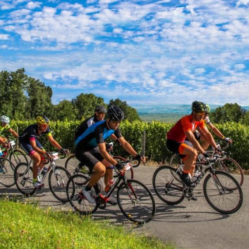 Cyclo Sud Bourgogne
