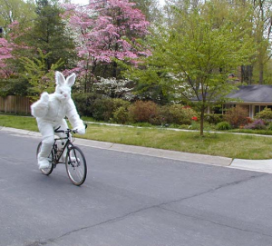 Lapin de Pâques à vélo