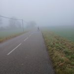 Sortie du dimanche 1er février